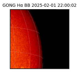 gong - 2025-02-01T22:00:02