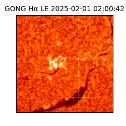 gong - 2025-02-01T02:00:42