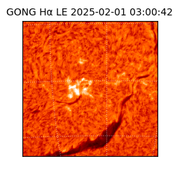 gong - 2025-02-01T03:00:42