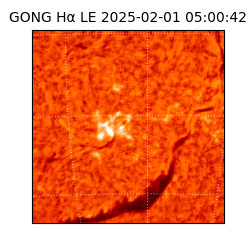 gong - 2025-02-01T05:00:42