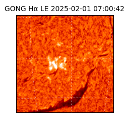 gong - 2025-02-01T07:00:42