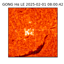 gong - 2025-02-01T08:00:42