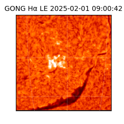 gong - 2025-02-01T09:00:42