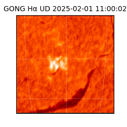 gong - 2025-02-01T11:00:02