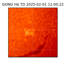 gong - 2025-02-01T12:00:22