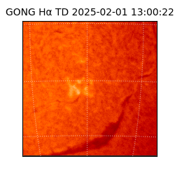 gong - 2025-02-01T13:00:22