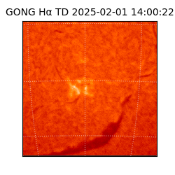 gong - 2025-02-01T14:00:22
