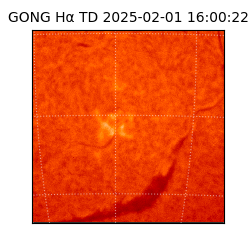 gong - 2025-02-01T16:00:22