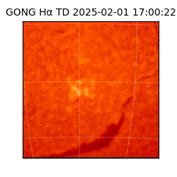 gong - 2025-02-01T17:00:22