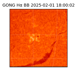 gong - 2025-02-01T18:00:02