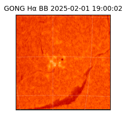 gong - 2025-02-01T19:00:02