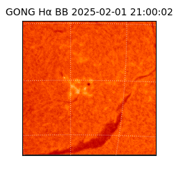 gong - 2025-02-01T21:00:02