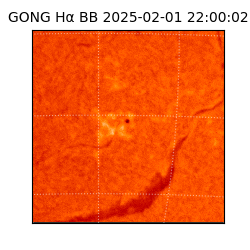 gong - 2025-02-01T22:00:02