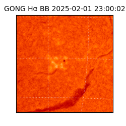 gong - 2025-02-01T23:00:02