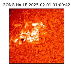 gong - 2025-02-01T01:00:42