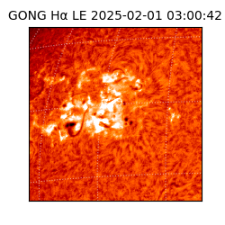 gong - 2025-02-01T03:00:42