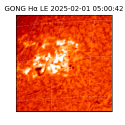 gong - 2025-02-01T05:00:42