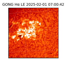 gong - 2025-02-01T07:00:42