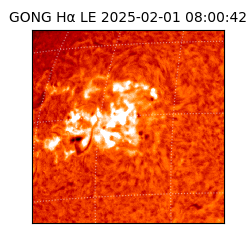 gong - 2025-02-01T08:00:42