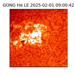 gong - 2025-02-01T09:00:42