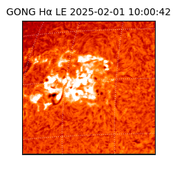 gong - 2025-02-01T10:00:42