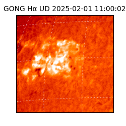 gong - 2025-02-01T11:00:02