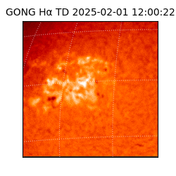 gong - 2025-02-01T12:00:22