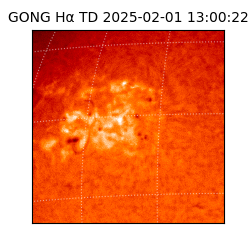 gong - 2025-02-01T13:00:22