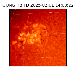 gong - 2025-02-01T14:00:22