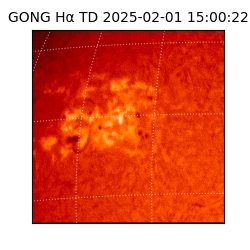 gong - 2025-02-01T15:00:22