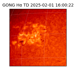 gong - 2025-02-01T16:00:22