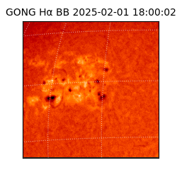 gong - 2025-02-01T18:00:02