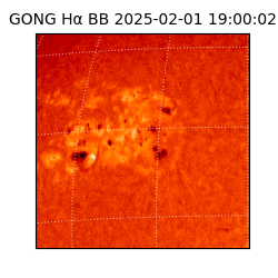 gong - 2025-02-01T19:00:02