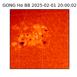 gong - 2025-02-01T20:00:02