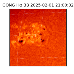 gong - 2025-02-01T21:00:02