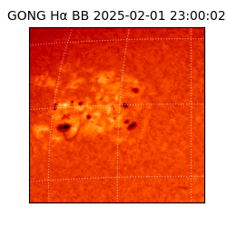 gong - 2025-02-01T23:00:02