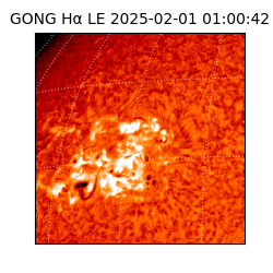 gong - 2025-02-01T01:00:42