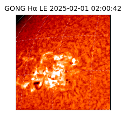 gong - 2025-02-01T02:00:42