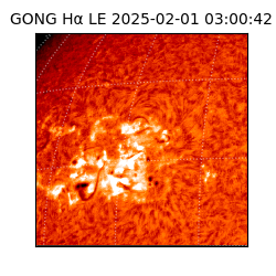 gong - 2025-02-01T03:00:42