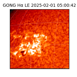 gong - 2025-02-01T05:00:42