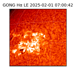 gong - 2025-02-01T07:00:42