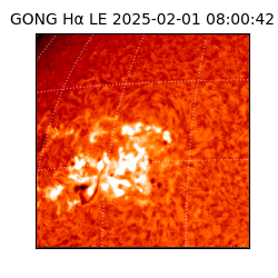 gong - 2025-02-01T08:00:42