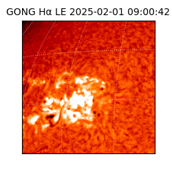 gong - 2025-02-01T09:00:42