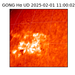 gong - 2025-02-01T11:00:02