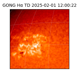 gong - 2025-02-01T12:00:22