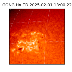 gong - 2025-02-01T13:00:22