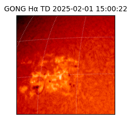 gong - 2025-02-01T15:00:22