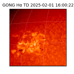 gong - 2025-02-01T16:00:22