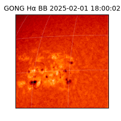 gong - 2025-02-01T18:00:02