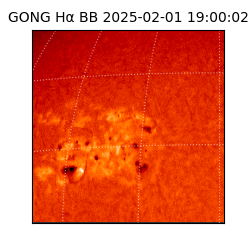 gong - 2025-02-01T19:00:02